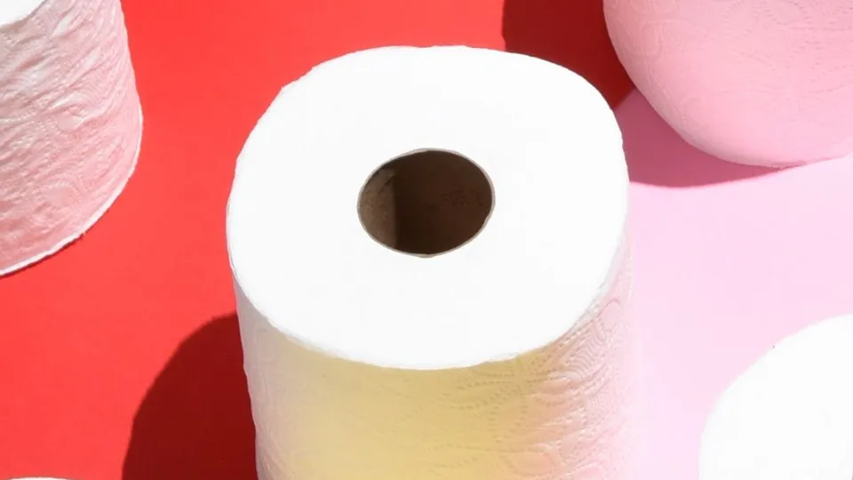 Rotoli di carta igienica